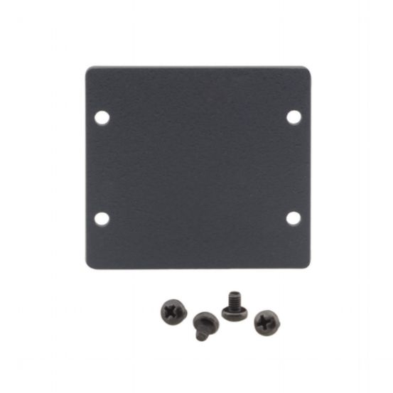W-2BLANK (B) Wall Plate Insert - Double Blank Slot Cover Plate - Black
